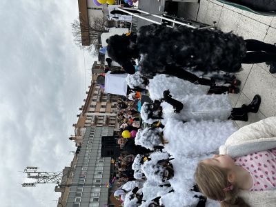 Volontiranje na Gradskom Karnevalu