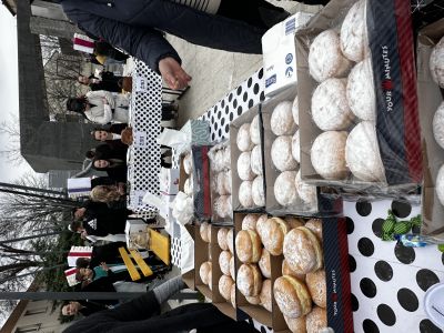 Volontiranje na Gradskom Karnevalu