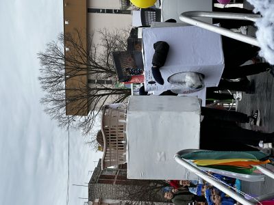 Volontiranje na Gradskom Karnevalu